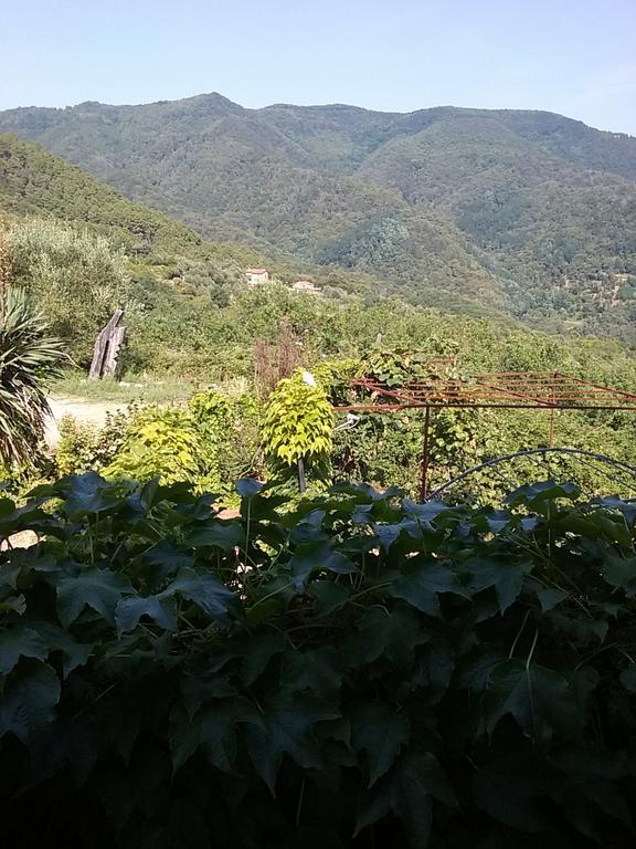 Casa Virgilio Bed & Breakfast Fosdinovo Exterior photo